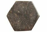 Stony Chondrite Cabochon ( g) - Meteorite #238192-1